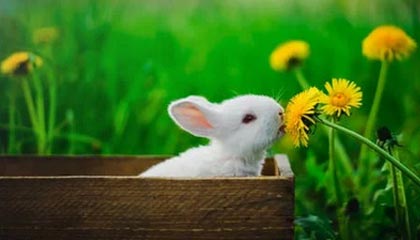 九州娱乐|水上运动赛事v2.4.3