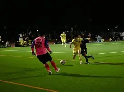 包含赛场上球员们奋力争胜的一幕幕感人场景的词条