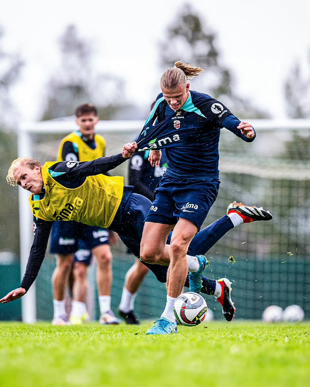 绝代双雄86版全集免费观看高清